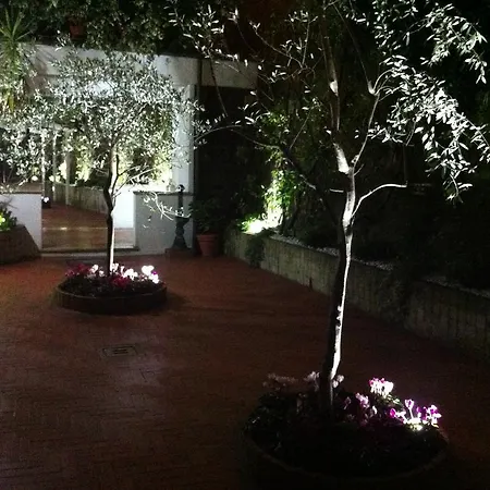 Affittacamere Under The Dome Roma